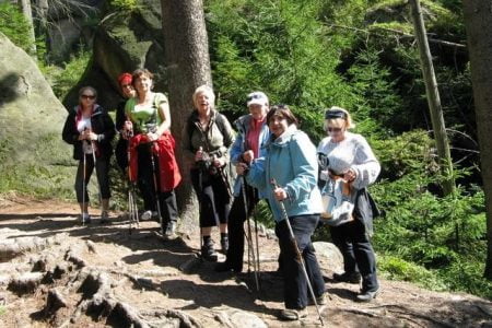 Grupa turnusowa podczas sesji Nordic walking w lesie