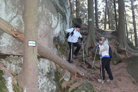 obrazek62_201502121425