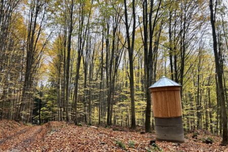 399956822_365653469258624_886512121433762295_n