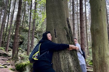 grupa odstresowująca się w lesie w trakcie wczasów odchudzających