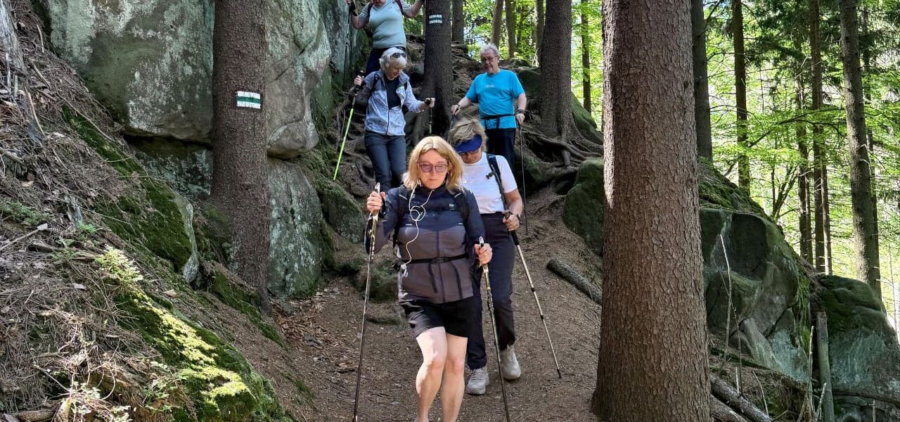 Nordic walking Zielona Róża