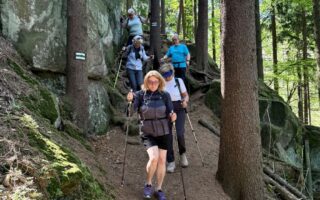Nordic walking Zielona Róża